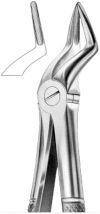 RD Forceps (Upper Remaining root)