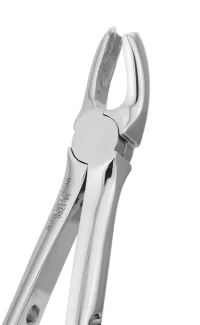 RD Forceps (Upper Rt Molar)